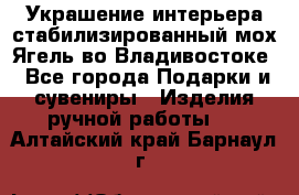 Украшение интерьера стабилизированный мох Ягель во Владивостоке - Все города Подарки и сувениры » Изделия ручной работы   . Алтайский край,Барнаул г.